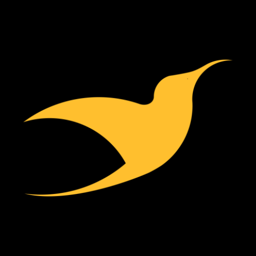 City Bird Rides Driver City Bird Rides Driver