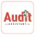 Audit Assistant - inspection