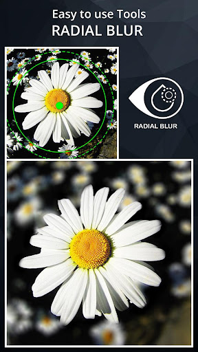 DSLR Camera Blur Effects Screenshots
