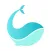 Coolefy-Shopping Online Global