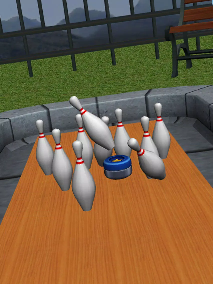 Bowling Classic 3D iPad Screenshots