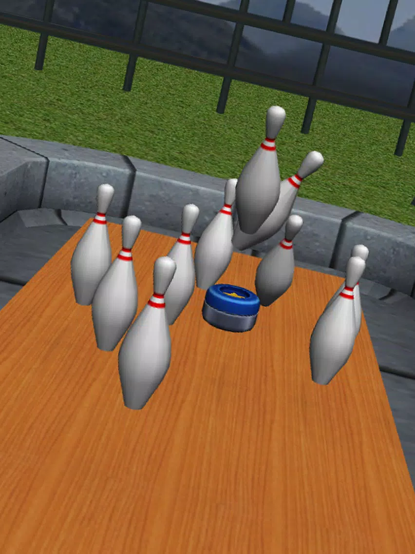 Bowling Classic 3D iPad Screenshots