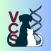 VCS Events