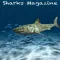 Sharks Magazine
