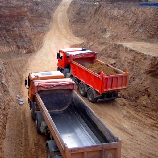 Cargo Truck