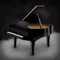 Cat Piano