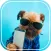 Animal Selfie: Funny Superimpose Photobomb Cats!