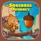 The Jungle Squirrel On Journey