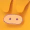 Pig Bird