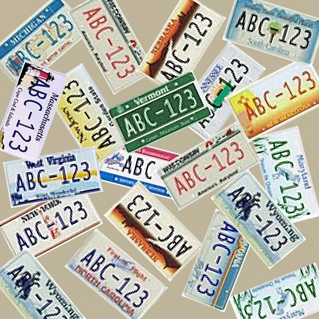 Find The License Plate Find The License Plate