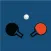 Table Tennis (Ping Pong)