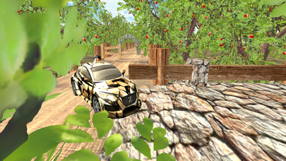 Racing for Speed Car Drift 3D Screenshots