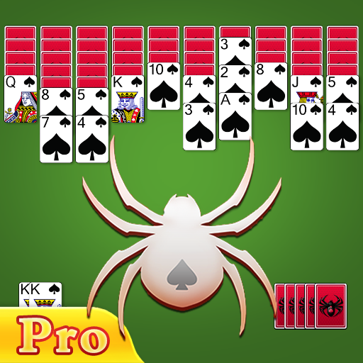 Spider Spider