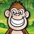 Crazy Jungle