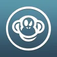 Crazy Monkey Twin Cities