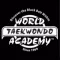 Taekwondo Acedemy