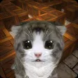 Cu Cat Maze Runner Cu Cat Maze Runner