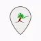 Key to Trees - Southern Africa