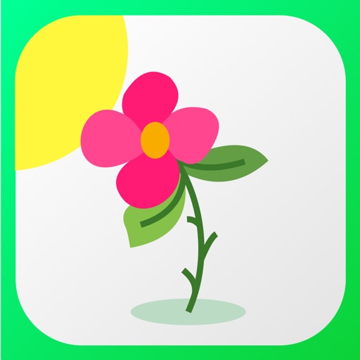 Plant Identifier Diagnosis Plant Identifier Diagnosis