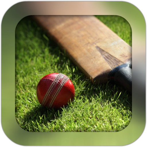 Cricket