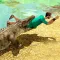 Crocodile kill wild monster simulator 2016