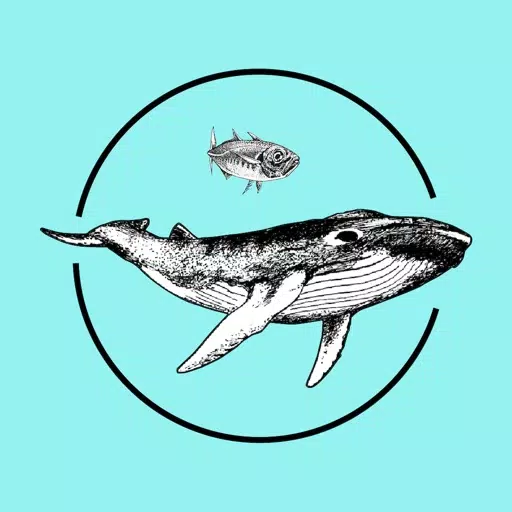 AQUATIC NOISE 2022 AQUATIC NOISE 2022