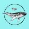 AQUATIC NOISE 2022