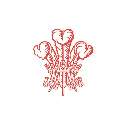 BSP UK BSP UK