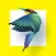 Bird Identification