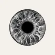 DeepIris ID Reader