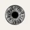 DeepIris ID Reader