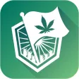 CBD Brussels Delivery