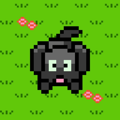 Turn-based Taylor - Retro RPG Turn-based Taylor - Retro RPG