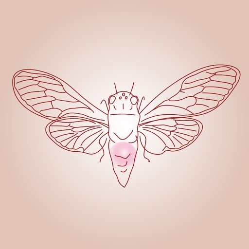 Cicada Games Cicada Games