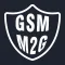 M2G