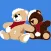 CTF Bear App