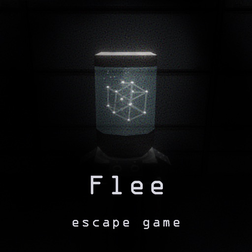 Escape Game : Flee Escape Game : Flee