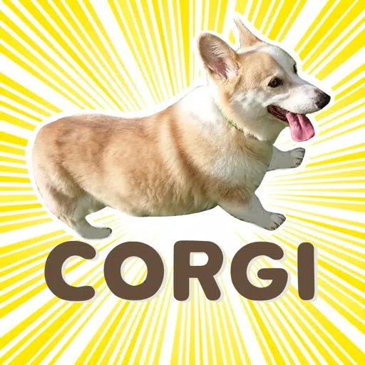 Fluffy cute Corgi Stickers Fluffy cute Corgi Stickers