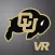 Buffs VR