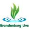 Brandenburg-live