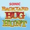 Backyard Bug Hunt