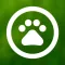DigiSmart Writing: Animals