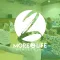 More 2 Life Ministries, Inc
