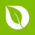 Lifeway Church