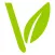 Vine Church App
