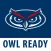 Owl Ready