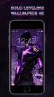 Solo Leveling Wallpapers 4k ®