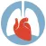 CTSNet Videos