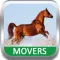 Movers