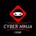 CISSP Cyberninja